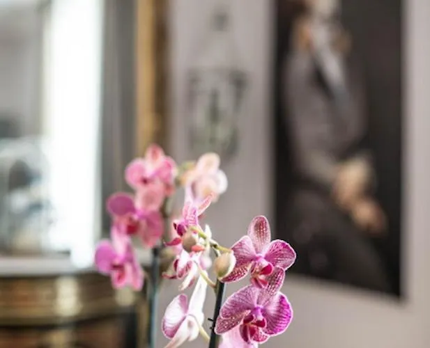 La Petite Reine Et Son Parking Apartment