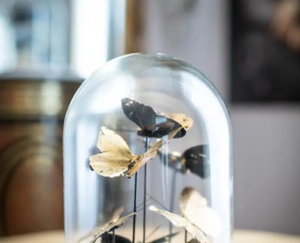 Apartment La Petite Reine Et Son Parking Etretat