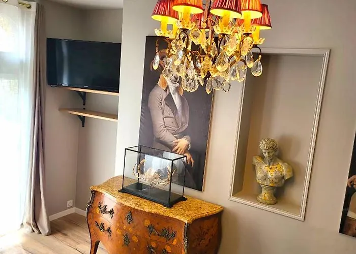 La Petite Reine Et Son Parking Apartment *